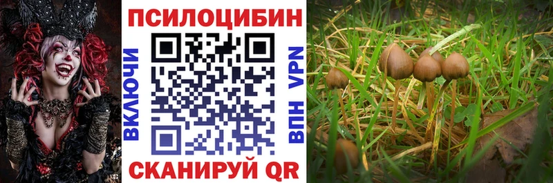 Псилоцибиновые грибы MAGIC MUSHROOMS blacksprut ТОР Бугуруслан